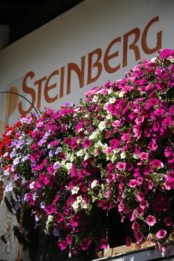Pension Steinberg 欧缇莫 外观 照片